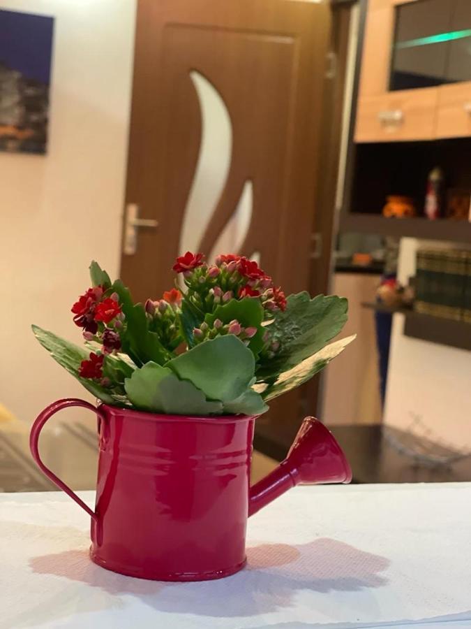 Bucuresti Comfort Apartment Kültér fotó